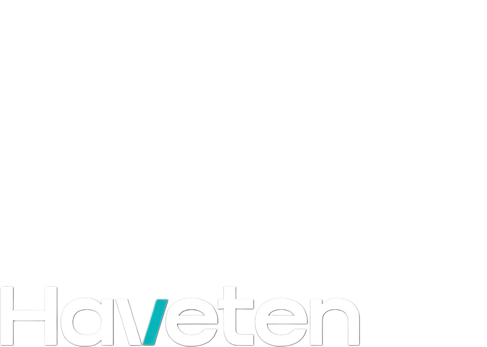 Haveten Securities Logo